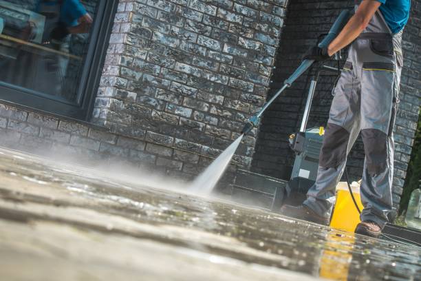 Professional Pressure Washing in Yalaha, FL