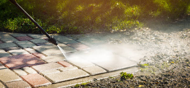 Best Animal Enclosure Cleaning  in Yalaha, FL