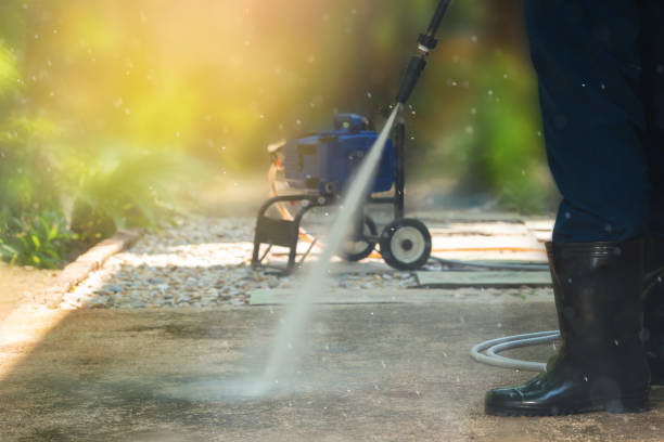 Best Sidewalk and Walkway Cleaning  in Yalaha, FL
